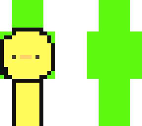 dream duck