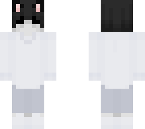 ryanyt eboy skin