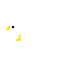 the chiken