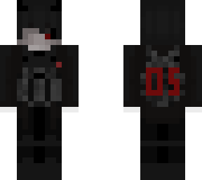 05 councilor