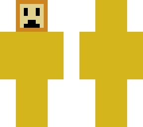 lionscraft09's lion