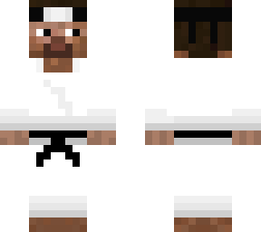 ninja steve