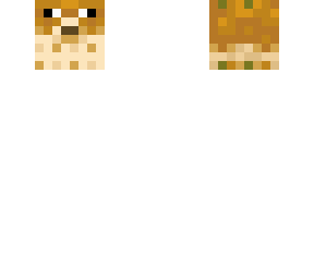 skindex family