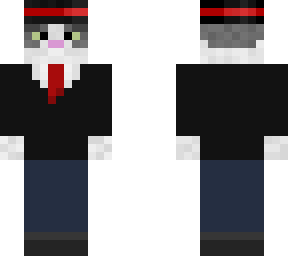 suit cat