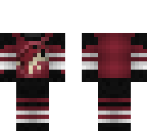 arizona coyotes