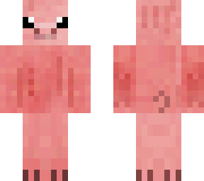 cute pig