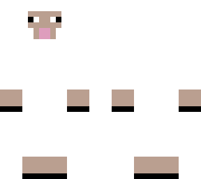sheep