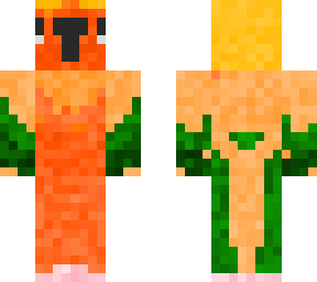 sun conure