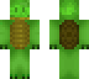 turtle