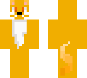 feral cat