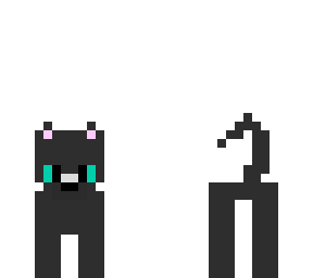 harry's cat