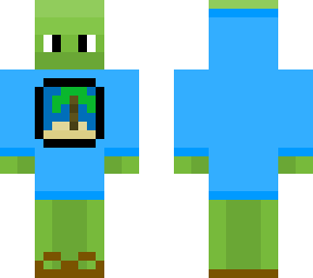 turtle wearing a hoodie and flip flops