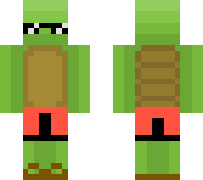 turtle wearing sunglasses, swim shorts, and flip-flops