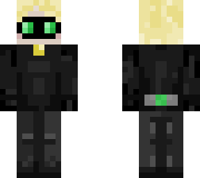 chat noir