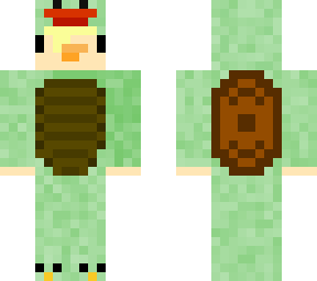 turtle dude