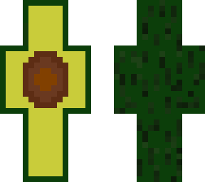 avocado 