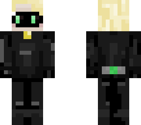 chat noir