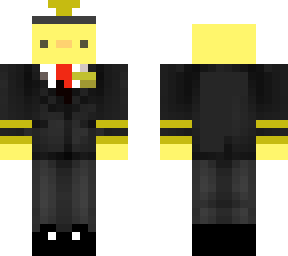 pilot duck