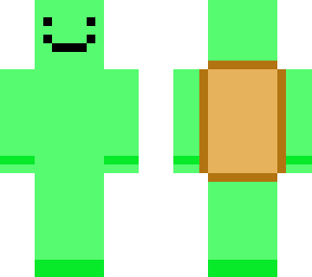 turtle