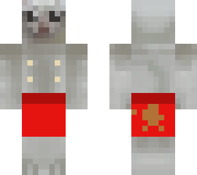 gato with swim suit