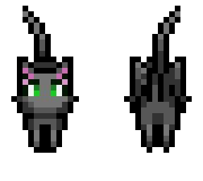 kitty