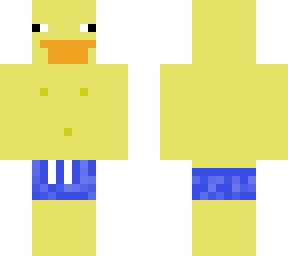 swim suit