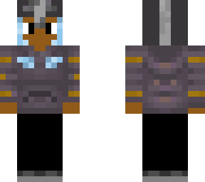 the winged warrior