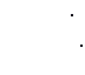 blank