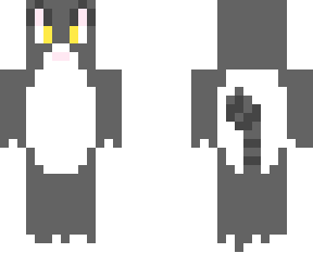 my cat frankie
