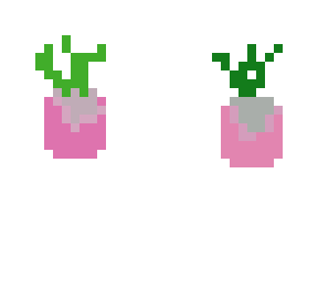 robyn.turnip skin