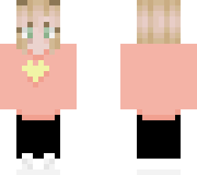 skin for attic