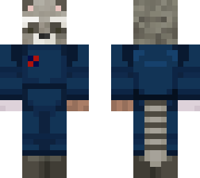 space racoon