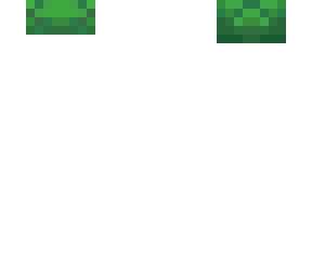 turtle helmey
