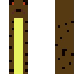 weather loach