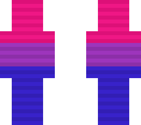 bi***ual flag minecraft skin bi