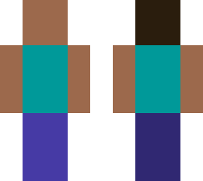 1 bit steve
