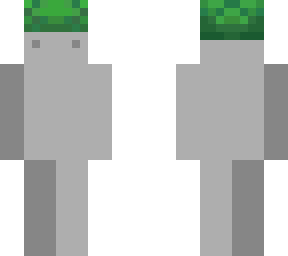 turtle hat