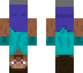 upside down steve