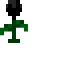 wither rose