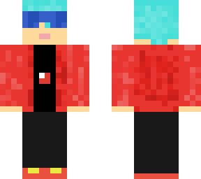 skin de llama