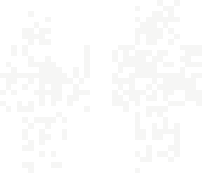 snow camo