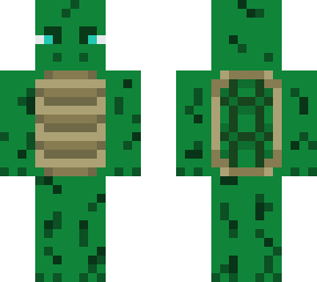 turtle