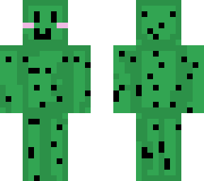 catus