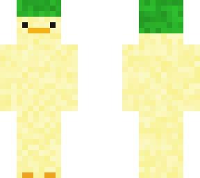 duck with watermelon