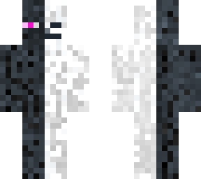 enderman skeloton mix