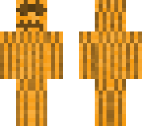 pumpkin skin