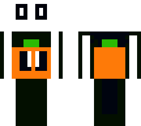 skid n pump