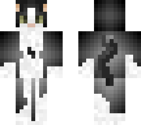 black and white cat