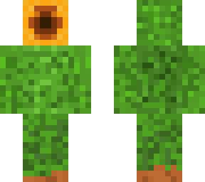 sunflower person