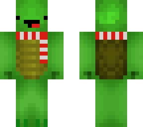 turtle with scarf